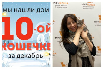 Малышка Принцесска теперь домашняя и любимая!