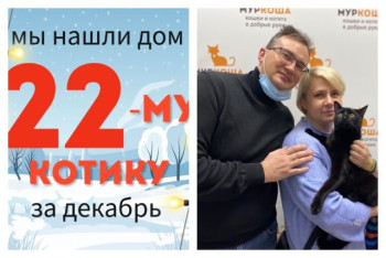 Котик Штраус познакомился со своей новой семьей!