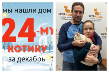 Жизнь нежного Нямсика теперь в надежных руках!