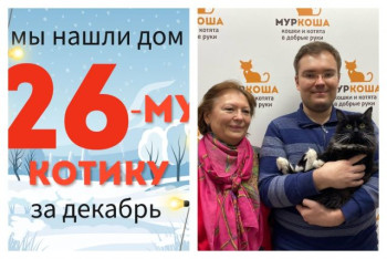 Котик Дунай нашел новый дом за один месяц!
