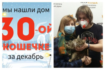 Кошечка Береста встретила любящую семью!