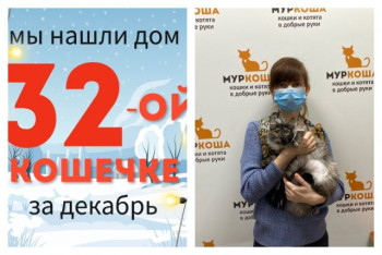 Малышка Сири стала домашней любимицей!