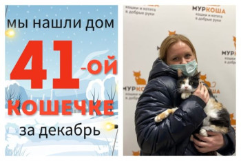 Годовалая кошечка Хюррем отправилась навстречу домашнему счастью!