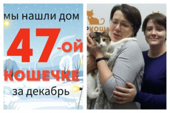 Кошечка Алоха встретила свою любящую семью!