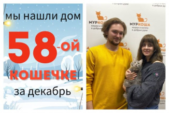 Кошечка Бумазея начинает новую домашнюю жизнь!