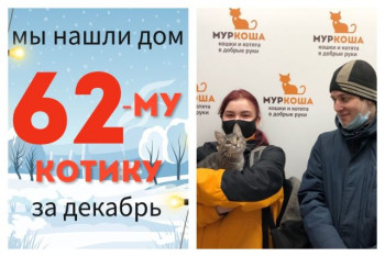 Малыш Харди вытянул счастливый билет!