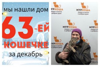 Малышка Ёлочка встретит Новый год в новом доме!