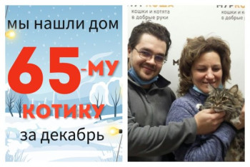 У трёхлетнего котика Лисика появились дом и семья!