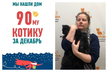 В канун Нового года кот Виктор стал домашним!