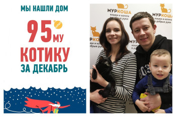 В канун Нового года котик Лёлик стал частью дружной семьи!