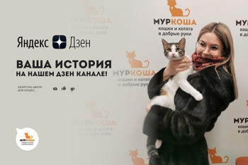 Вы - счастливый владелец котика из "Муркоши"? Поделитесь своей историей на Яндекс.Дзен!