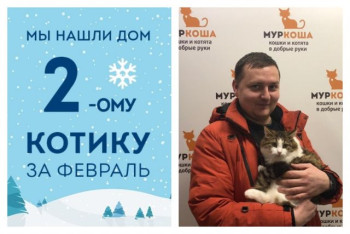 Провожаем в домашнюю жизнь семимесячного котика Вильяма!