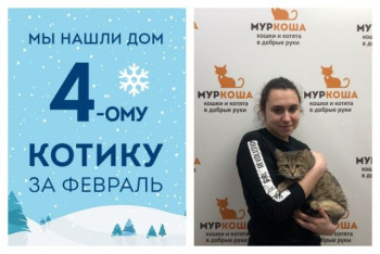 Мы помогли десятимесячному Васаби стать домашним любимцем!