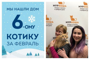 Шестым счастливчиком февраля становится Мироня!