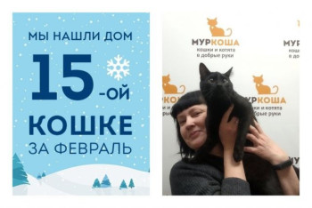 Девятимесячная Джана стала домашней любимицей!