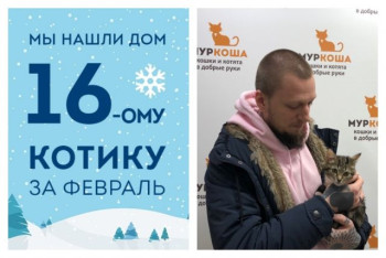Котенок Салазар встретил настоящего друга!