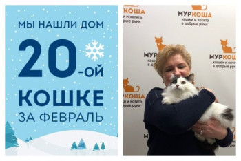 Кошечка Роса рада познакомить вас со своей хозяйкой!