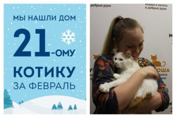 Завершился долгий путь Грегори к счастью!