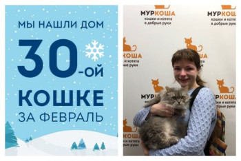 Провожаем домой трехлетнюю кошку Марусини!