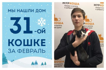 У Дейзи появилась семья и уютный дом!