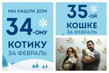 Себастиан и Виолочка, брат и сестра, уезжают в новый дом вместе!