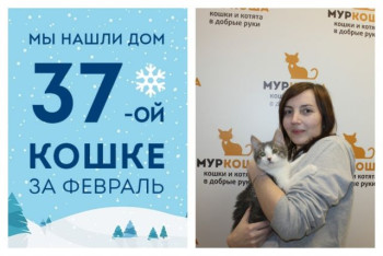 Котенок Моля стала домашней любимицей!