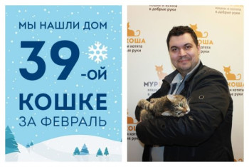 Уезжает в новый дом кошечка Сафари!