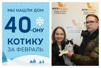 Крошка Котар уезжает в новый дом!