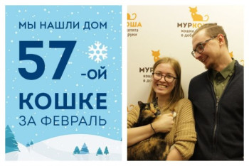 Мы смогли найти дом для двухлетней Маркизочки за десять дней!