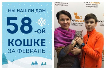 Котенок Жанетта стала домашней всего за один месяц!