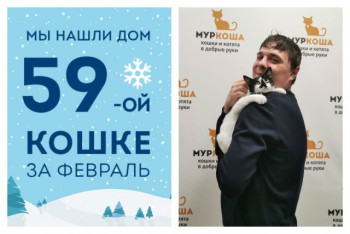 Пипочка совершила главное открытие в своей жизни!