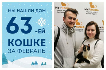 Аскания узнает, что такое домашнее счастье!