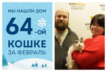 Скромная Оса получила второй шанс на счастливую жизнь!