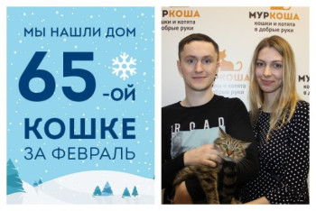 Провожаем домой десятимесячную Симку!