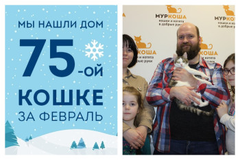 Златка уезжает в новый дом, где уже живет ее мама-кошка Оса!