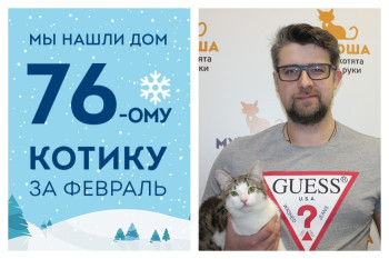 Спустя месяц в приюте отправляется домой котик Митюша!