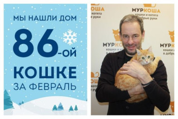 Прекрасная кошечка Рекса отправляется домой!