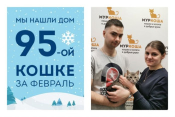 Всего лишь за месяц Княжна стала правительницей своего маленького государства!