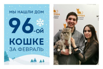 Кошечка Валерия обрела дом за два месяца!