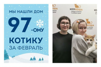 Уличный котик Звонарь стал домашним меньше чем за два месяца!