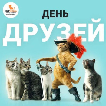 Сегодня День друзей!
