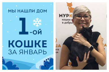 Уля получила самый лучший новогодний подарок!