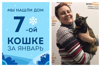Долгожданное домашнее счастье кошки Корасон!
