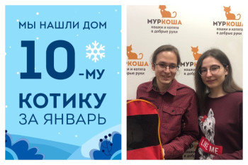 У кошки Дарлинг появилась семья и уютный дом!