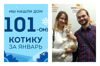 Уезжает в новый дом котик Россо!