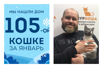 Кошка Венди стала домашней всего за месяц!