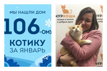 Кот Элиот начинает жизнь с чистого листа!