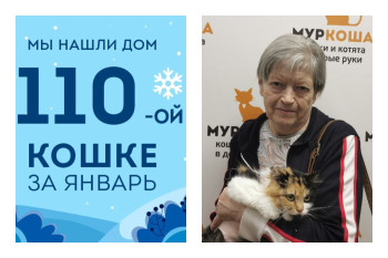 Личное волшебство Вербочки!