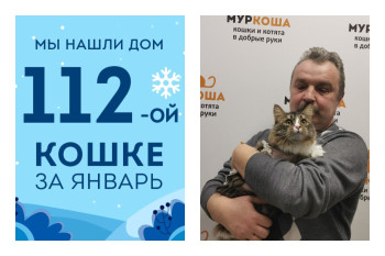 Кошка с забавным именем Сынок встретила своего человека!