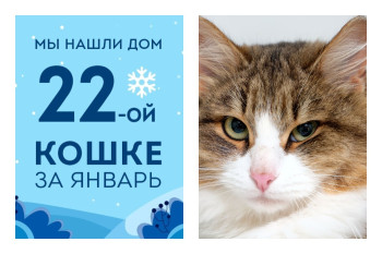 Лукошка стала домашней спустя полтора месяца в приюте!